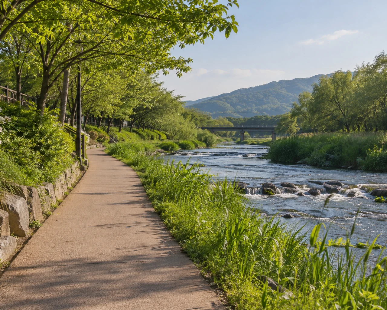 하천 산책로